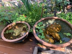 -肴约·花园式餐厅(湖里店)