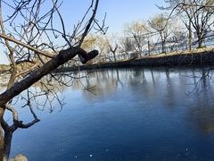 -无锡蠡湖国家湿地公园-蠡园