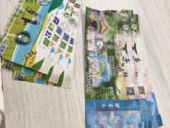 -西双版纳原始森林公园