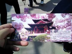 -西安青龙寺遗址景区
