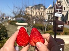 -大连海昌东方水城