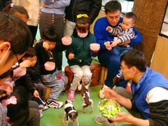 -藦茜花园宠物主题亲子互动体验馆(国顺东路店)