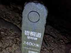 -梧桐山风景名胜区