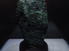 -湖南省地质博物馆