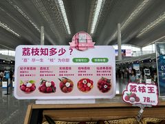 -广州白云国际机场-T2航站楼