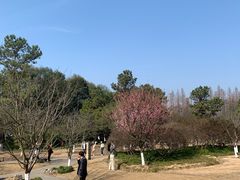 -西湖风景区十里琅珰-五云山