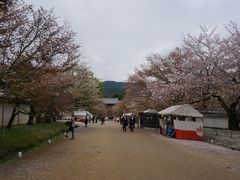 -醍醐寺