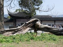 -司徒庙