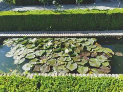 -阿尔罕布拉宫