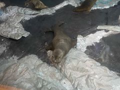 -吉林省自然博物馆