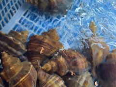 -丁字口海鲜热炒·烧烤大排档