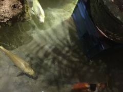 iphone_upload_pic-院落创意菜