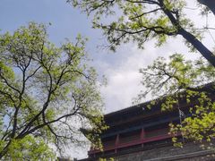 -西安碑林博物馆