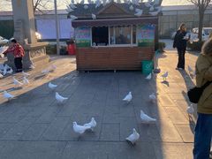 -天津妈祖文化园