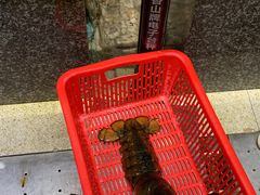 -蚝专家(北滘店)