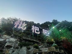 -枇杷园食为鲜火锅(南山店)