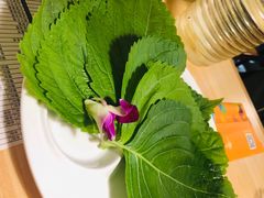 -千纸鹤嫩汁烤肉(西大直街店)