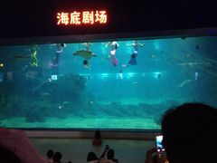 罗源湾海洋世界-福州罗源湾海洋世界旅游区