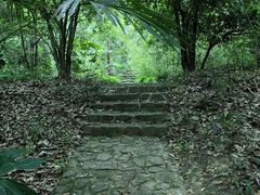 -灵谷景区