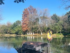 -西溪国家湿地公园