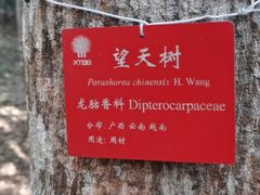 -中国科学院西双版纳热带植物园