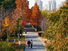 -昆山城市生态森林公园