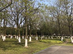 -白塘生态植物园