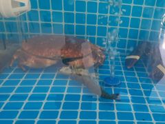 -聚德福海鲜家常菜(刘庄店)