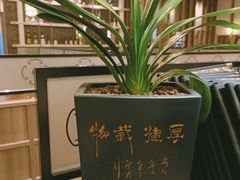 -胜博殿霸王树(嘉里中心店)