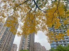 -查令84号咖啡馆(金大地1912东西街店)