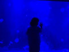 -暹罗海洋世界