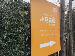 -前小桔亲子创意农场·草莓采摘·露营烧烤