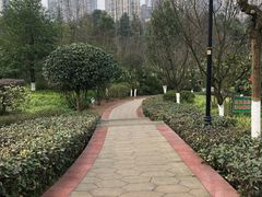 -龙头寺公园
