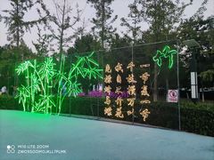 -青龙湖公园