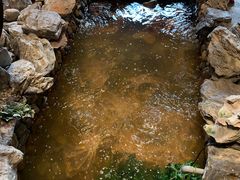 -綱元·海鲜豆捞(明州里店)