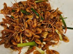 -丰乐餐厅·始于1999·本地老字号