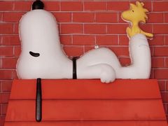 -史努比缤纷世界