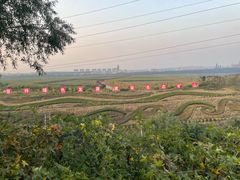 -抚顺煤矿博物馆