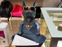 -飞行喵MR PILOT|猫舍·猫咖(静安大融城店)