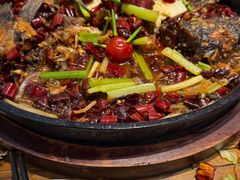 -老板恋上鱼(印象城店)