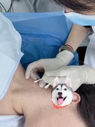 -SKINIST丽铂医疗美容