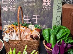 -大龙燚·旷野鲜火锅(广州首店)
