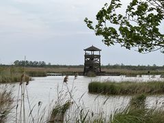 -盐城丹顶鹤湿地生态旅游区