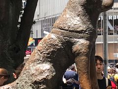 -涩谷全向十字路口