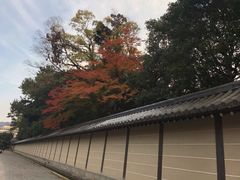-京都御所