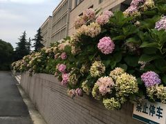 -江南大学(蠡湖校区)