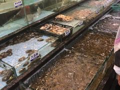 水产区-新海利海鲜城·41年珠海老字号(夏湾店)