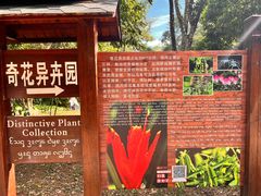 -中国科学院西双版纳热带植物园