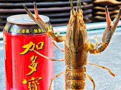 -熊记虾王·小龙虾(东晓南店)