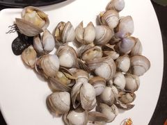 大嘴白蚬子（斤）-苏大嘴海鲜牧场(奥林匹克店)